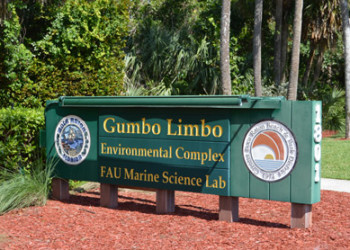 Gumbo Limbo - Boca Raton, Florida